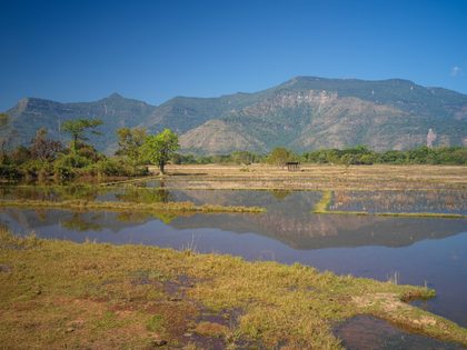 Champassak, Laos. Photographie de Jordy Meow, 8/54