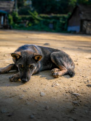 Luang Prabang, Laos. Photographie de Jordy Meow, 27/82