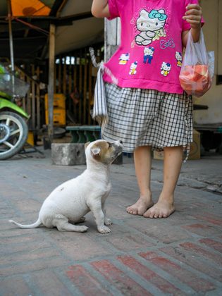 Luang Prabang, Laos. Photographie de Jordy Meow, 53/82