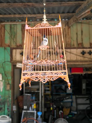 Luang Prabang, Laos. Photographie de Jordy Meow, 67/82