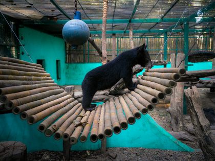 Luang Prabang, Laos. Photographie de Jordy Meow, 31/82