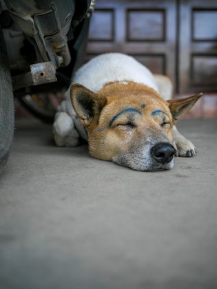 Luang Prabang, Laos. Photographie de Jordy Meow, 68/82