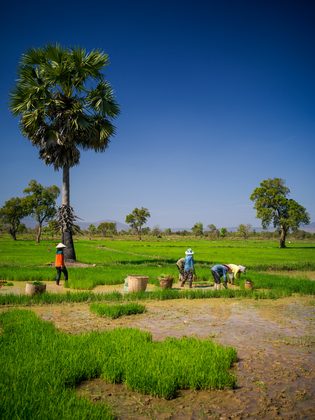 Savannakhet, Laos. Photographie de Jordy Meow, 4/56