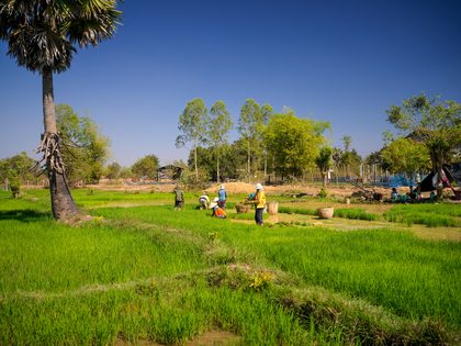 Savannakhet, Laos. Photographie de Jordy Meow, 6/56