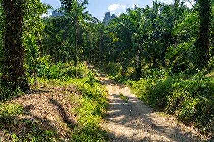 Phang Nga, Thaïlande & Malaisie. Photographie de Jordy Meow, 28/49