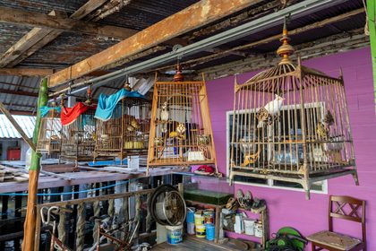 Phang Nga, Thaïlande & Malaisie. Photographie de Jordy Meow, 14/49
