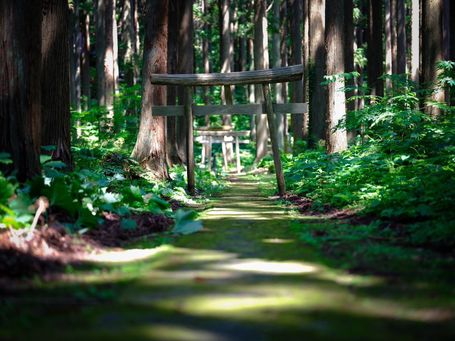 Japon, Été 2021. Photographie de Jordy Meow, 3/229