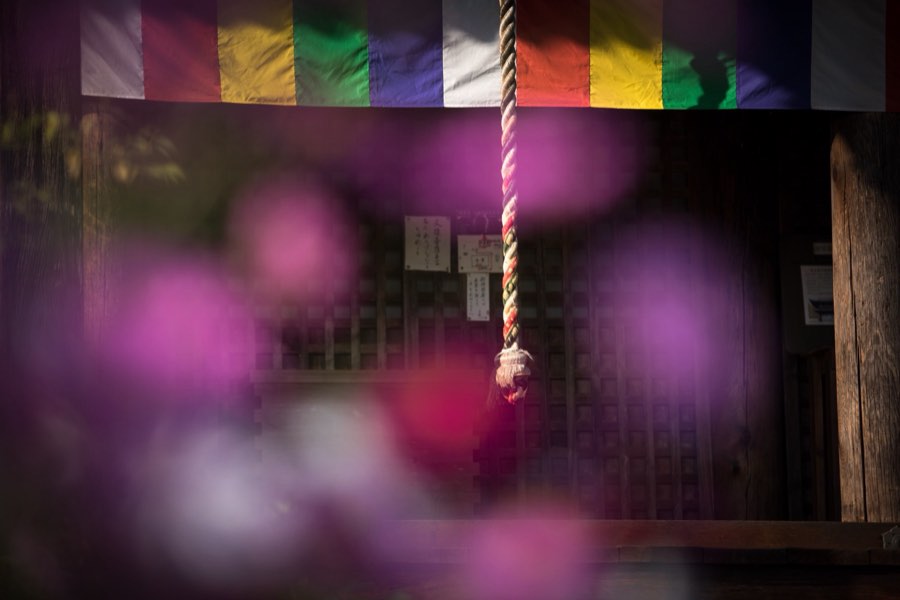 Japon, Automne 2015. Photographie de Jordy Meow, 19/302