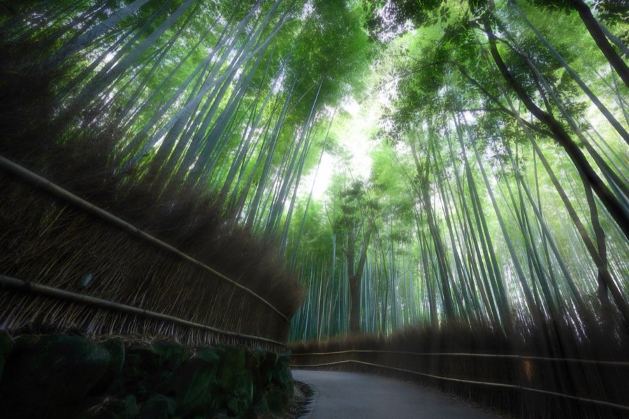 Japon, Automne 2014. Photographie de Jordy Meow, 20/302