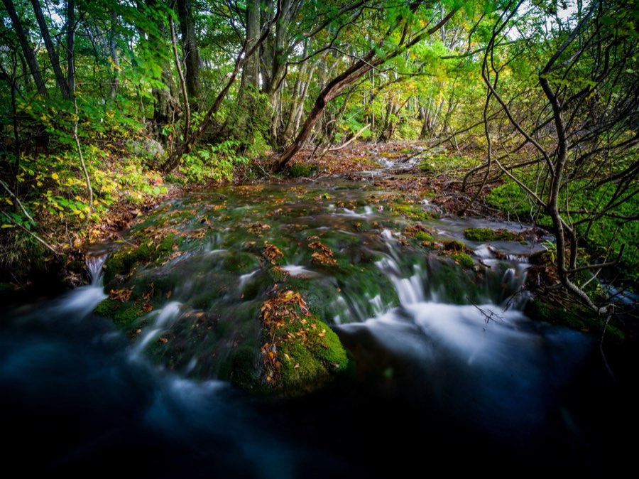 Akita, Automne 2020, Japon. Photographie de Jordy Meow, 58/302