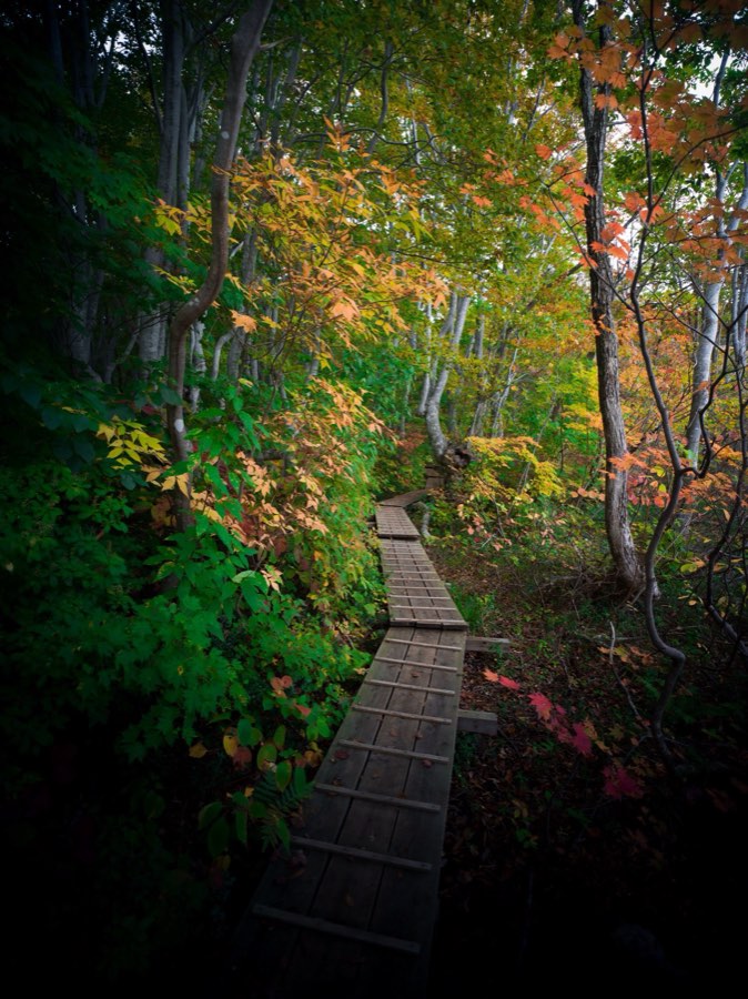 Akita, Automne 2020, Japon. Photographie de Jordy Meow, 59/302