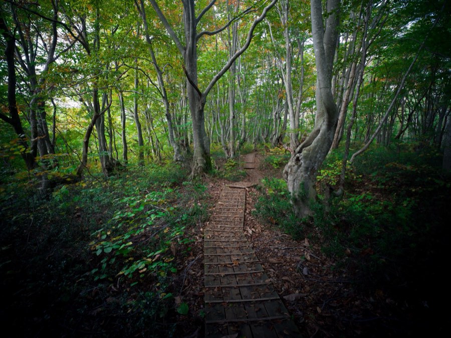 Akita, Automne 2020, Japon. Photographie de Jordy Meow, 61/302