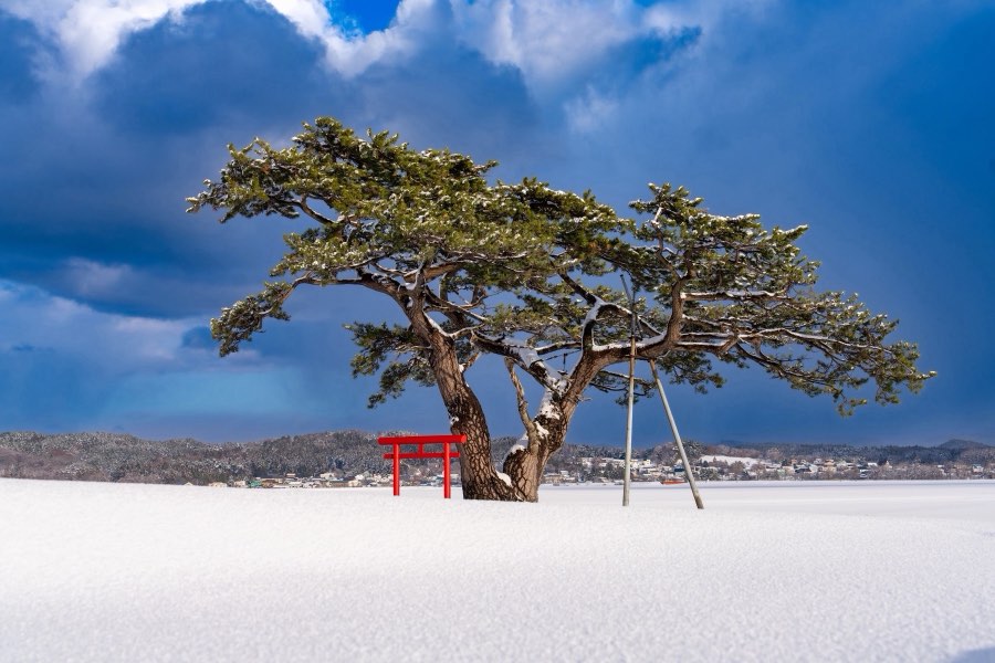 Aomori, Hiver 2025, Japon. Photographie de Jordy Meow, 42/116