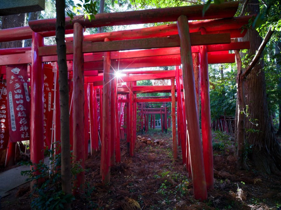 Chiba, Automne 2020, Japon. Photographie de Jordy Meow, 108/302