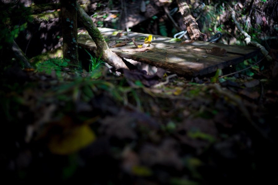 Chiba, Automne 2016, Japon. Photographie de Jordy Meow, 110/302