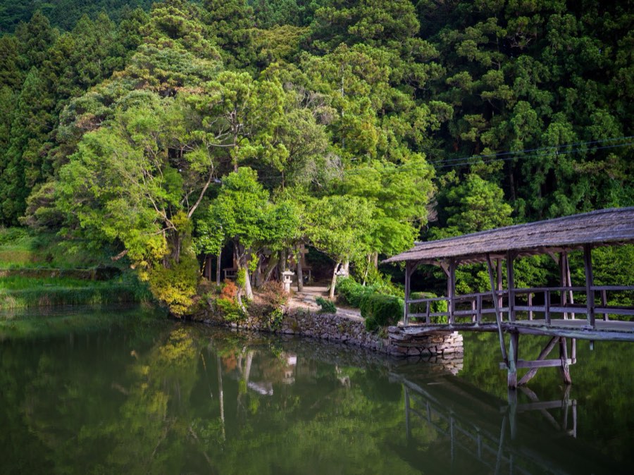 Ehime, Été 2020, Japon. Photographie de Jordy Meow, 3/19