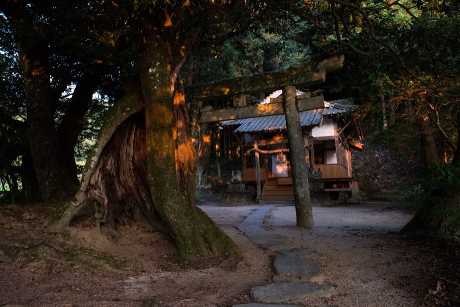 Ehime, Été 2016, Japon. Photographie de Jordy Meow, 4/19