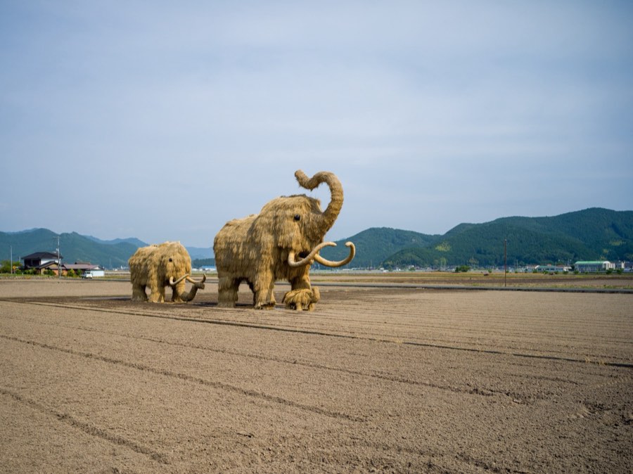 Ehime, Été 2020, Japon. Photographie de Jordy Meow, 8/19