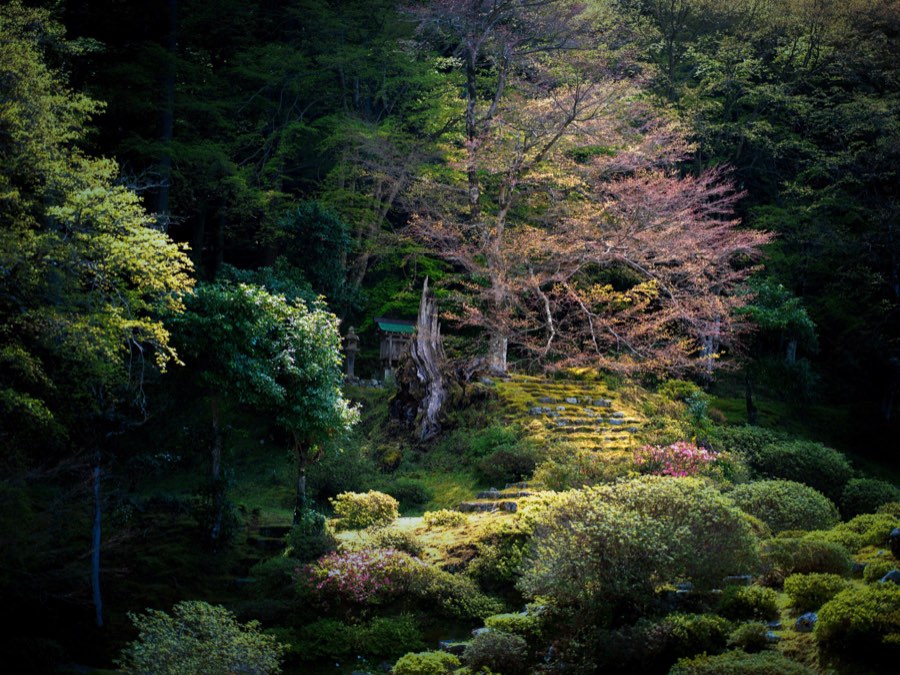 Fukui, Printemps 2020, Japon. Photographie de Jordy Meow, 6/13