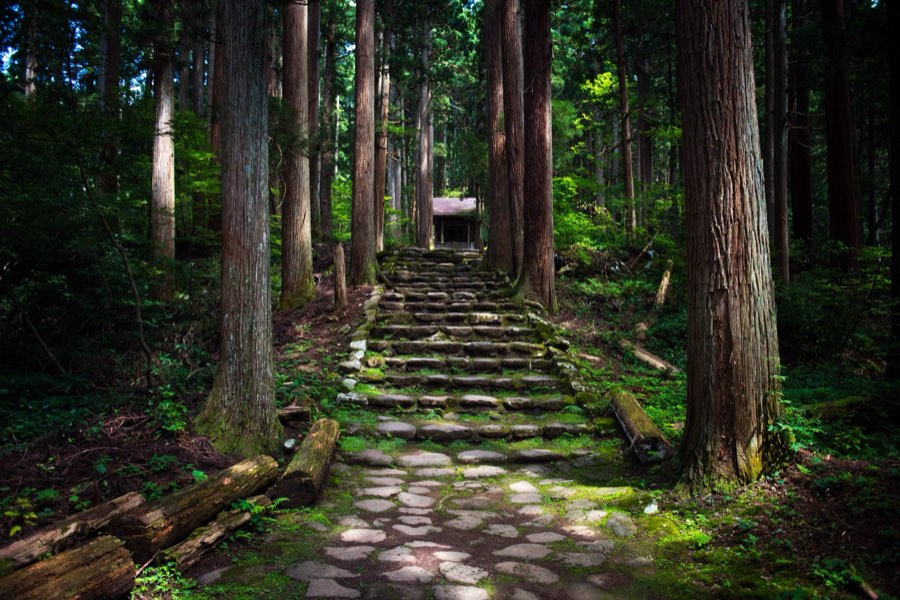Fukui, Été 2016, Japon. Photographie de Jordy Meow, 12/13