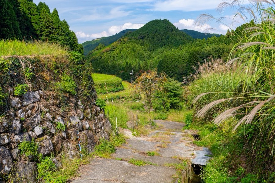 Fukuoka, Automne 2024, Japon. Photographie de Jordy Meow, 274/302