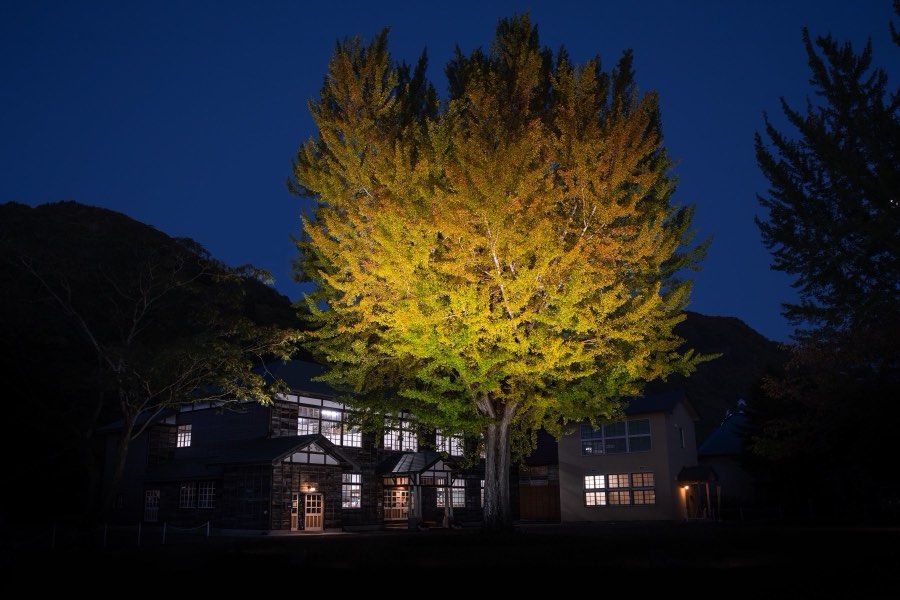 Fukushima, Automne 2018, Japon. Photographie de Jordy Meow, 72/302