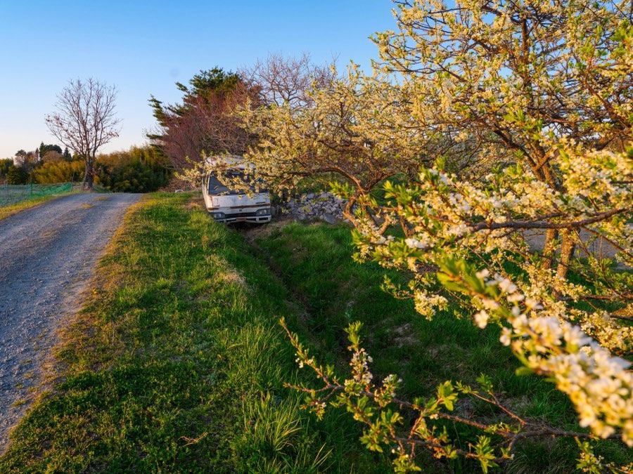 Fukushima, Printemps 2023, Japon. Photographie de Jordy Meow, 52/289