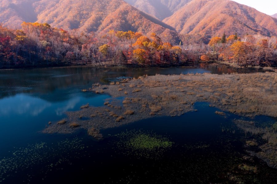 Fukushima, Automne 2018, Japon. Photographie de Jordy Meow, 75/302