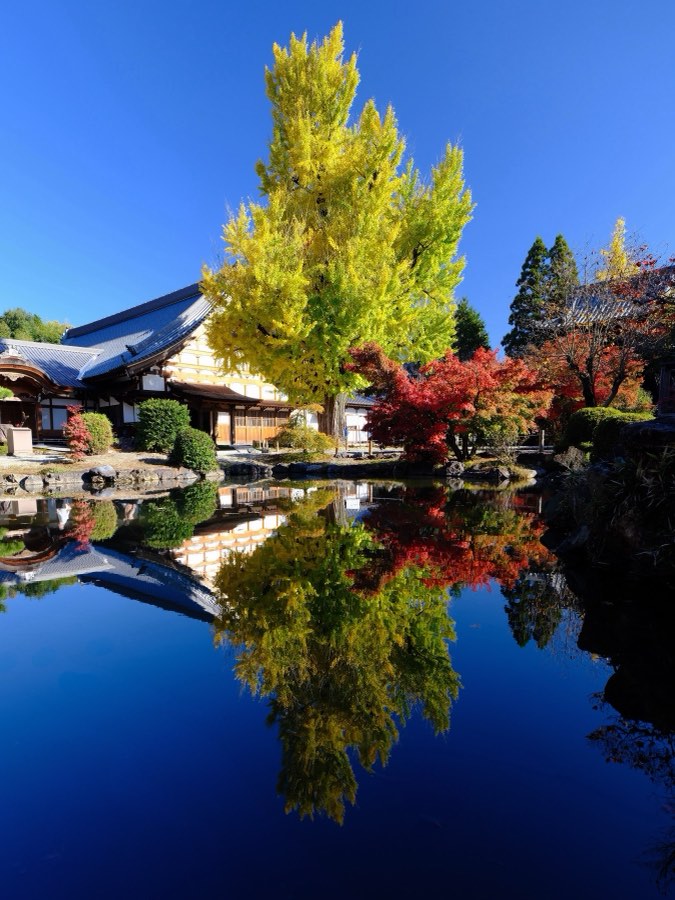 Gifu, Automne 2022, Japon. Photographie de Jordy Meow, 171/302