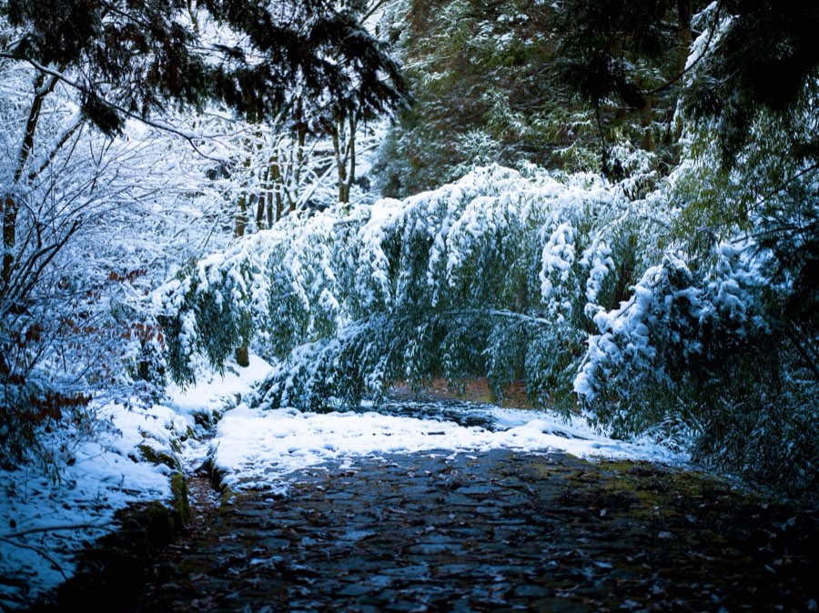 Gifu, Hiver 2021, Japon. Photographie de Jordy Meow, 94/116