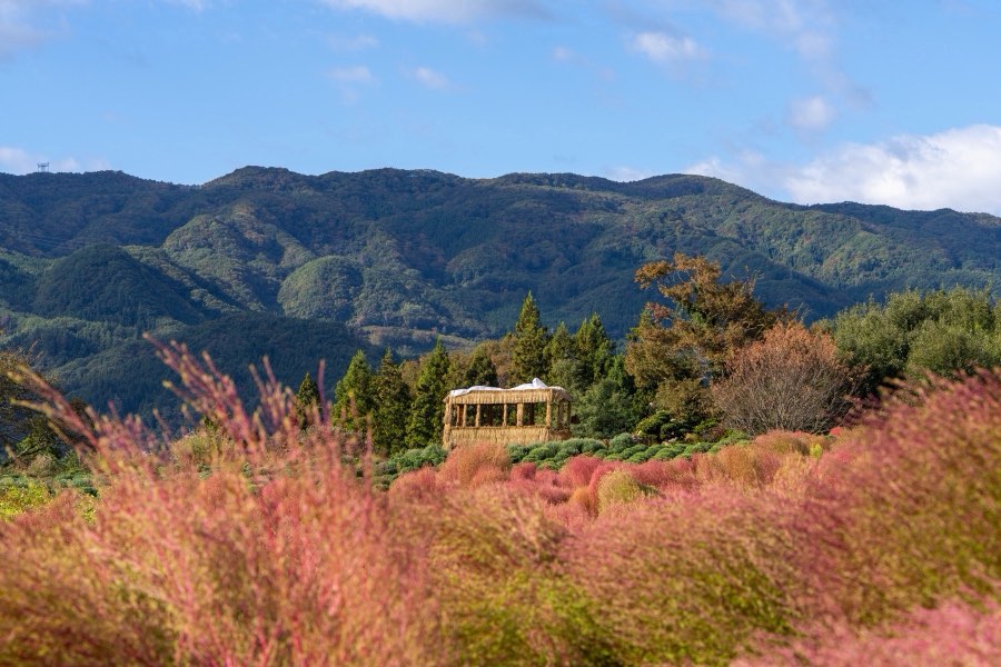 Gunma, Automne 2023, Japon. Photographie de Jordy Meow, 85/302