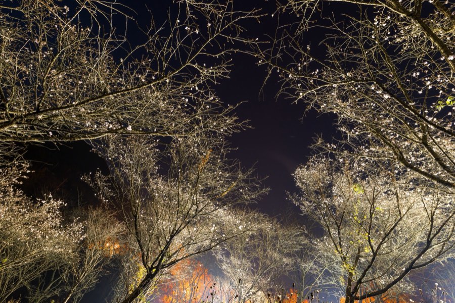 Gunma, Automne 2013, Japon. Photographie de Jordy Meow, 86/302