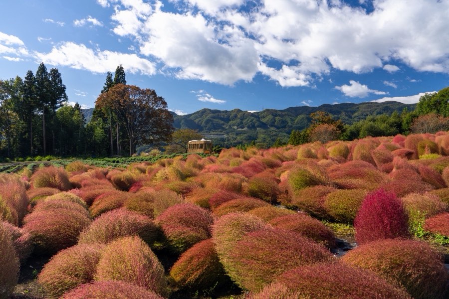Gunma, Automne 2023, Japon. Photographie de Jordy Meow, 92/302