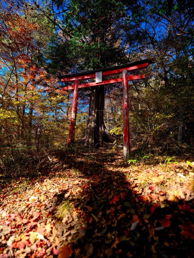 Gunma, Automne 2021, Japon. Photographie de Jordy Meow, 95/302