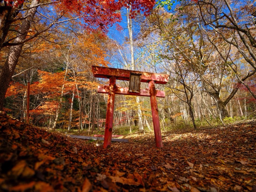 Gunma, Automne 2021, Japon. Photographie de Jordy Meow, 96/302