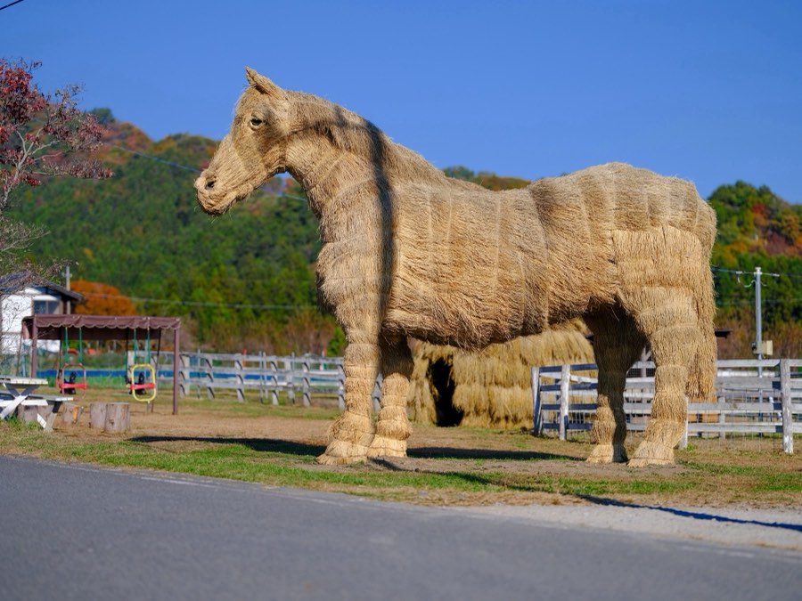 Gunma, Automne 2021, Japon. Photographie de Jordy Meow, 99/302