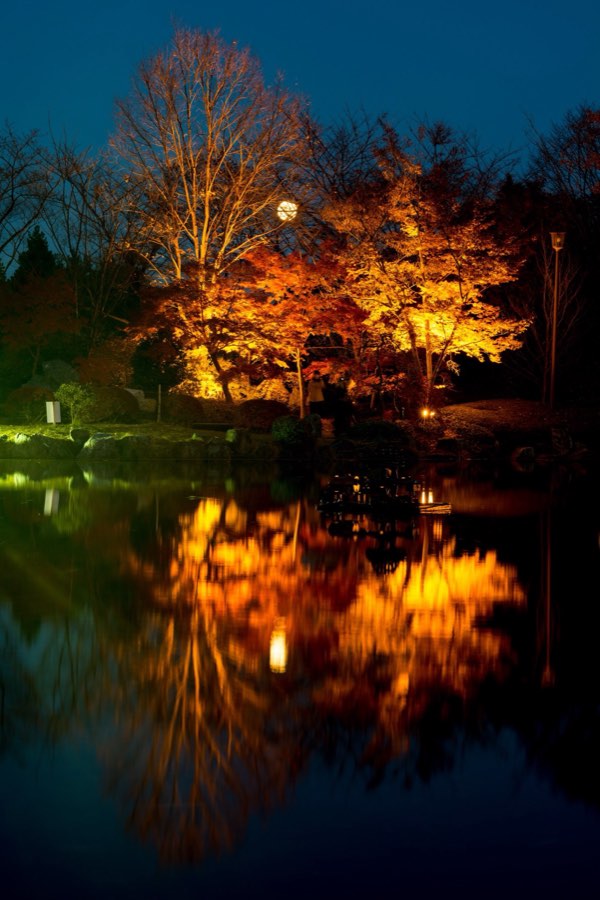 Gunma, Automne 2013, Japon. Photographie de Jordy Meow, 100/302