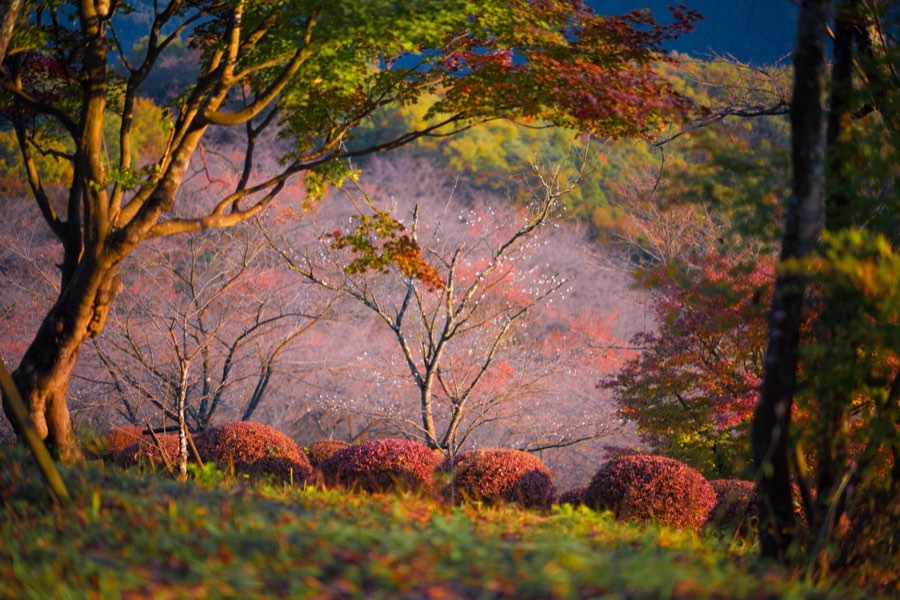 Gunma, Automne 2013, Japon. Photographie de Jordy Meow, 101/302