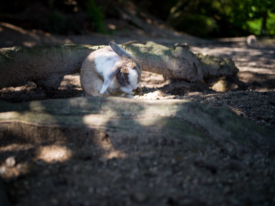 Hiroshima, Été 2020, Japon. Photographie de Jordy Meow, 152/229