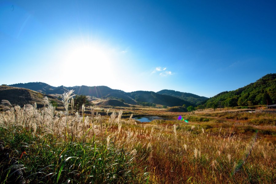 Hyogo, Automne 2015, Japon. Photographie de Jordy Meow, 224/302