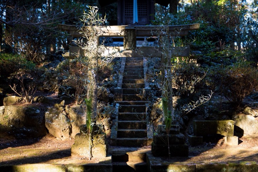 Ibaraki, Hiver 2018, Japon. Photographie de Jordy Meow, 56/116