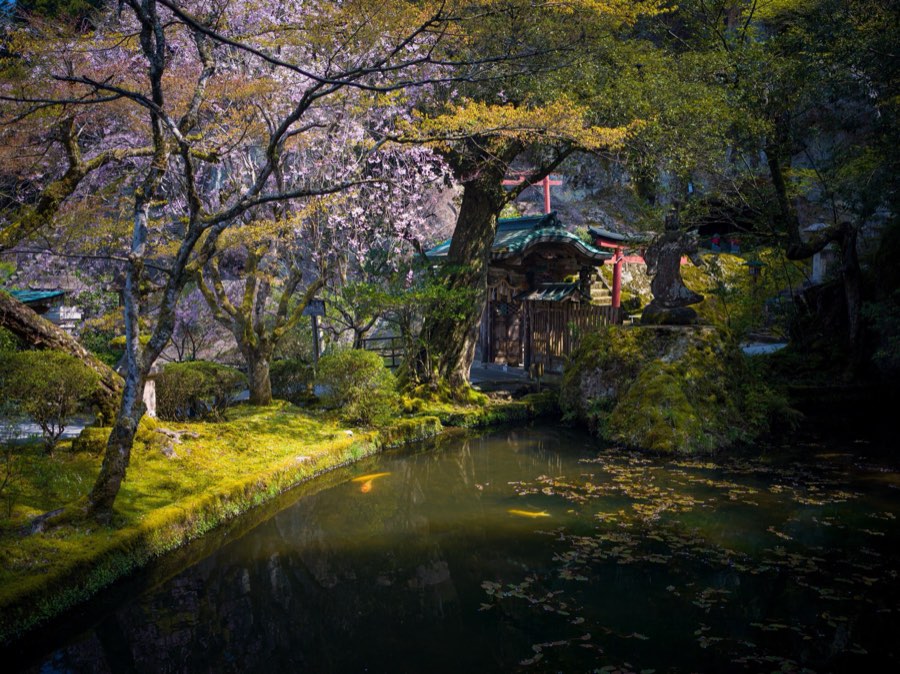 Ishikawa, Printemps 2020, Japon. Photographie de Jordy Meow, 96/289