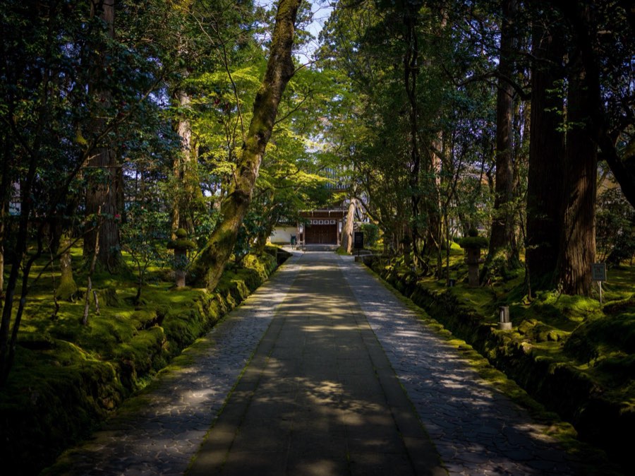 Ishikawa, Printemps 2020, Japon. Photographie de Jordy Meow, 103/289