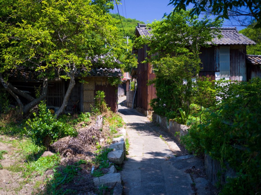 Kagawa, Printemps 2020, Japon. Photographie de Jordy Meow, 216/289