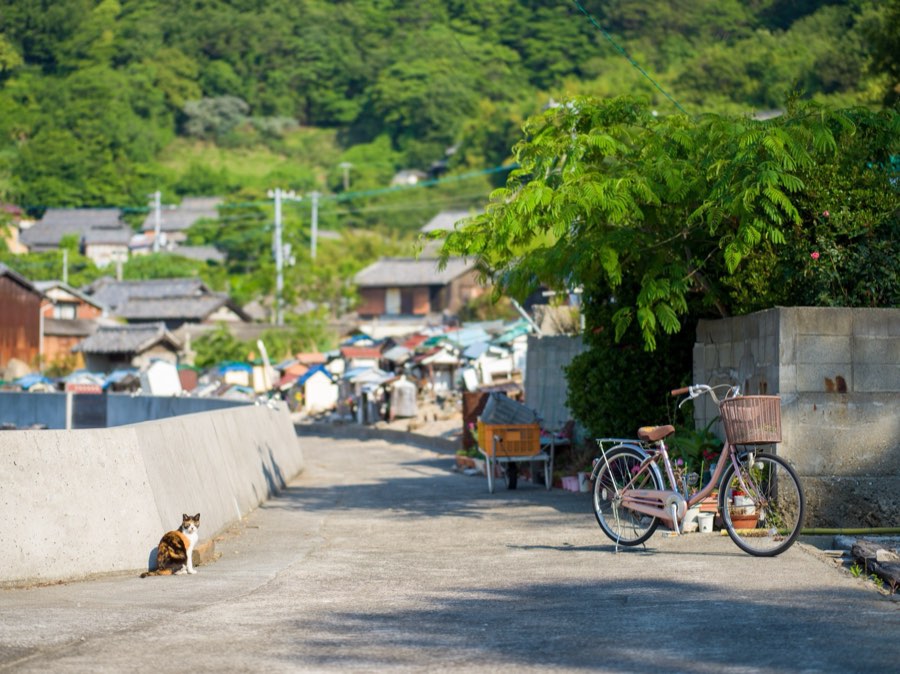 Kagawa, Printemps 2020, Japon. Photographie de Jordy Meow, 226/289