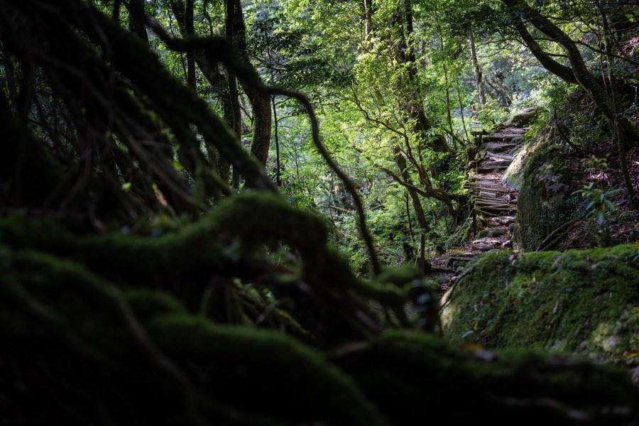 Kagoshima, Printemps 2025, Japon. Photographie de Jordy Meow, 274/289