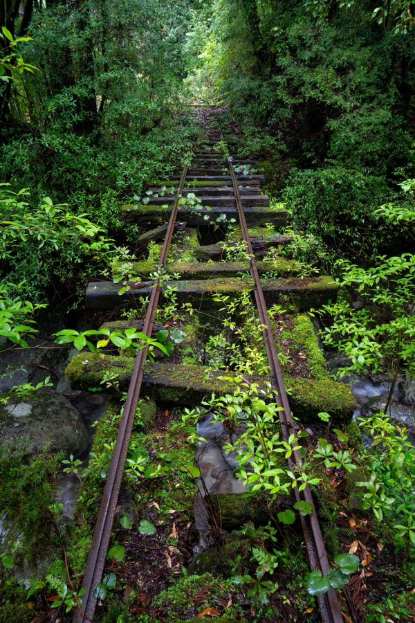 Kagoshima, Printemps 2025, Japon. Photographie de Jordy Meow, 275/289