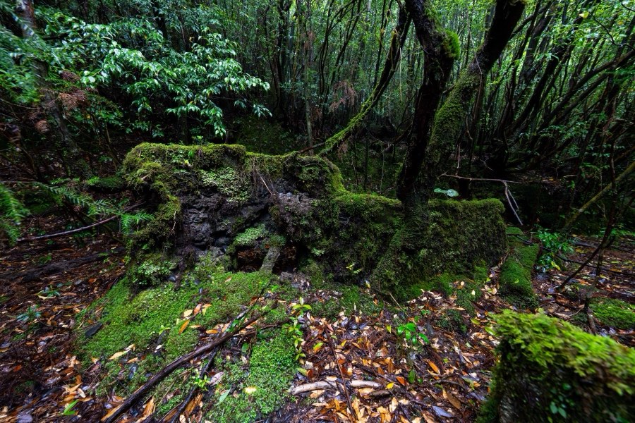 Kagoshima, Printemps 2025, Japon. Photographie de Jordy Meow, 277/289