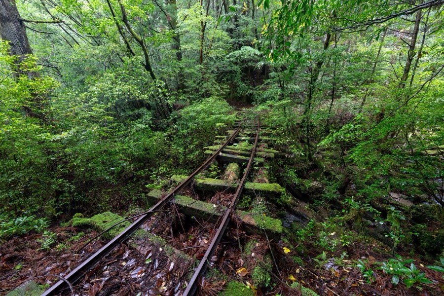 Kagoshima, Printemps 2025, Japon. Photographie de Jordy Meow, 278/289
