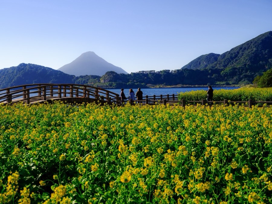 Kagoshima, Hiver 2022, Japon. Photographie de Jordy Meow, 115/116